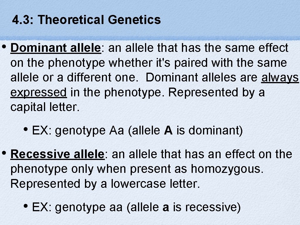 4. 3: Theoretical Genetics • Dominant allele: an allele that has the same effect
