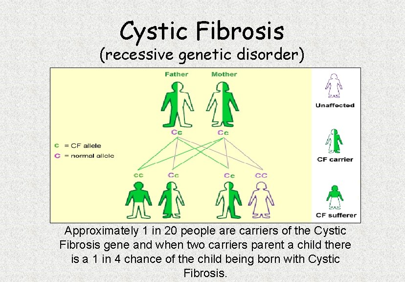 Cystic Fibrosis (recessive genetic disorder) Approximately 1 in 20 people are carriers of the