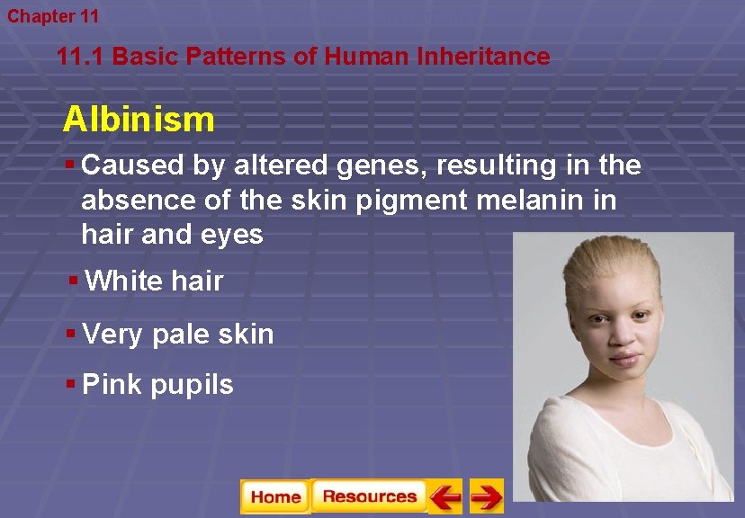 Chapter 11 Complex Inheritance and Human Heredity 11. 1 Basic Patterns of Human Inheritance