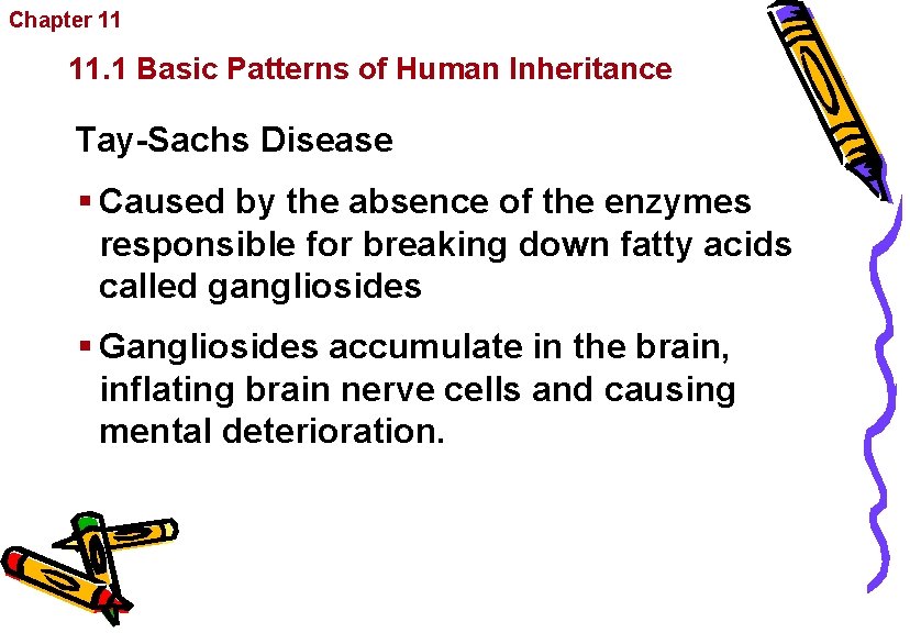 Chapter 11 Complex Inheritance and Human Heredity 11. 1 Basic Patterns of Human Inheritance