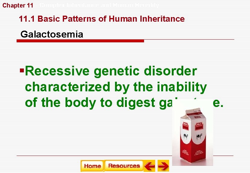 Chapter 11 Complex Inheritance and Human Heredity 11. 1 Basic Patterns of Human Inheritance Chapter 11 Complex Inheritance and Human Heredity 11. 1 Basic Patterns of Human Inheritance