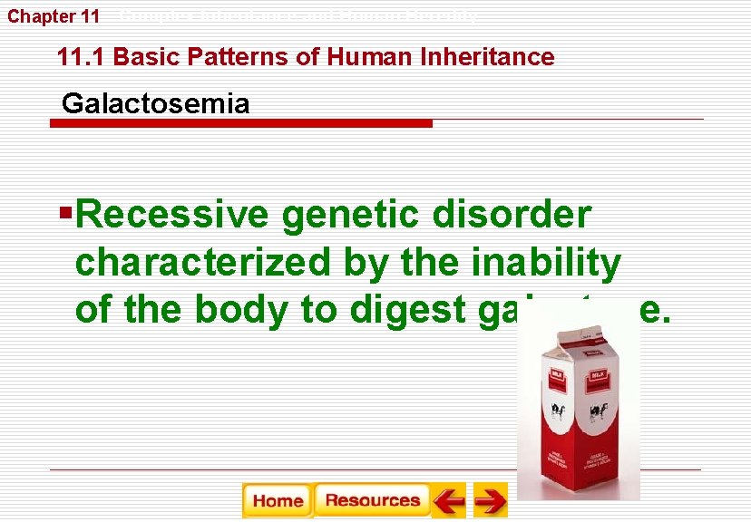 Chapter 11 Complex Inheritance and Human Heredity 11. 1 Basic Patterns of Human Inheritance