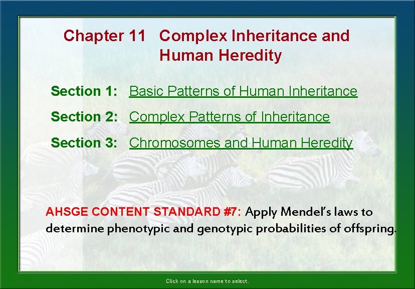 Chapter 11 Complex Inheritance and Human Heredity Section 1: Basic Patterns of Human Inheritance Chapter 11 Complex Inheritance and Human Heredity Section 1: Basic Patterns of Human Inheritance