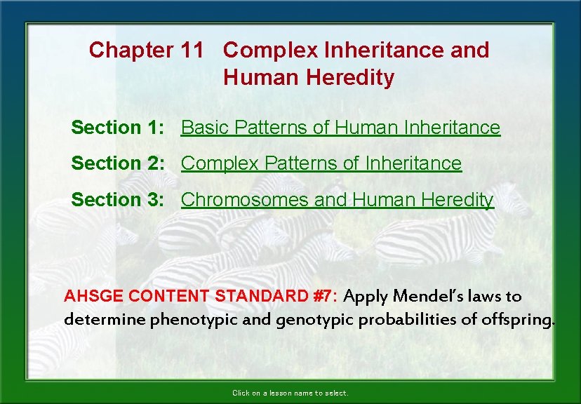 Chapter 11 Complex Inheritance and Human Heredity Section 1: Basic Patterns of Human Inheritance