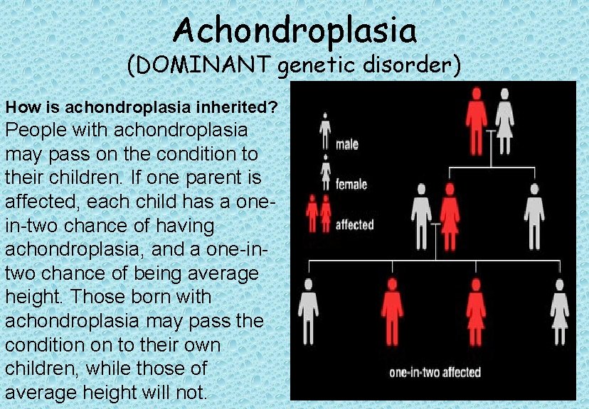 Achondroplasia (DOMINANT genetic disorder) How is achondroplasia inherited? People with achondroplasia may pass on