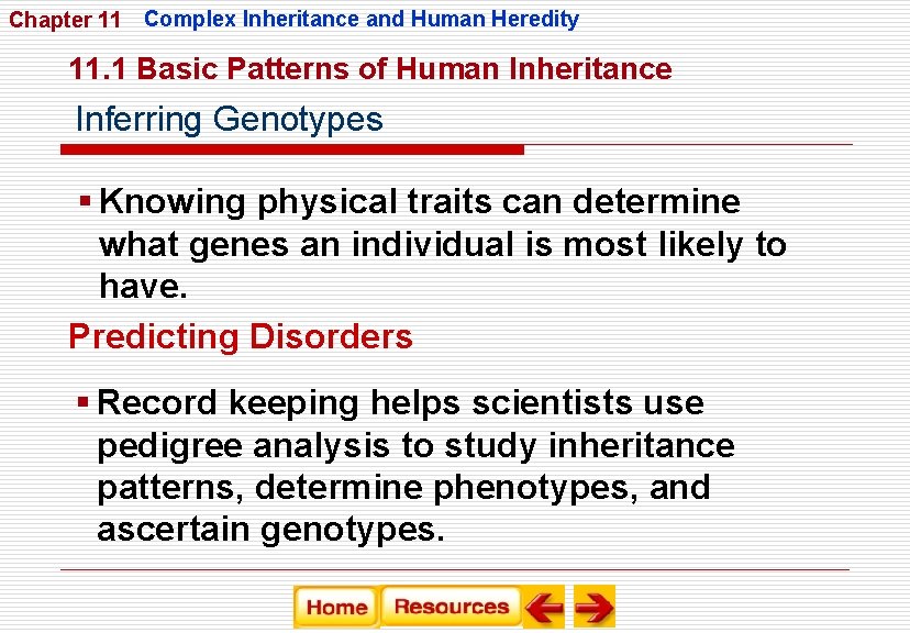 Chapter 11 Complex Inheritance and Human Heredity 11. 1 Basic Patterns of Human Inheritance