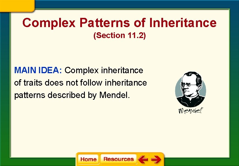 Complex Patterns of Inheritance (Section 11. 2) MAIN IDEA: Complex inheritance of traits does Complex Patterns of Inheritance (Section 11. 2) MAIN IDEA: Complex inheritance of traits does