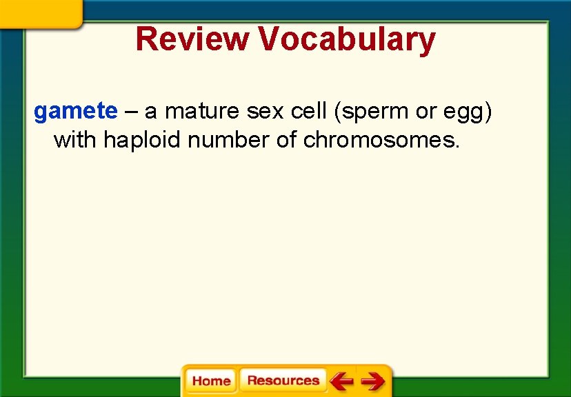 Review Vocabulary gamete – a mature sex cell (sperm or egg) with haploid number