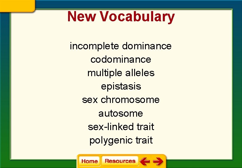 New Vocabulary incomplete dominance codominance multiple alleles epistasis sex chromosome autosome sex-linked trait polygenic