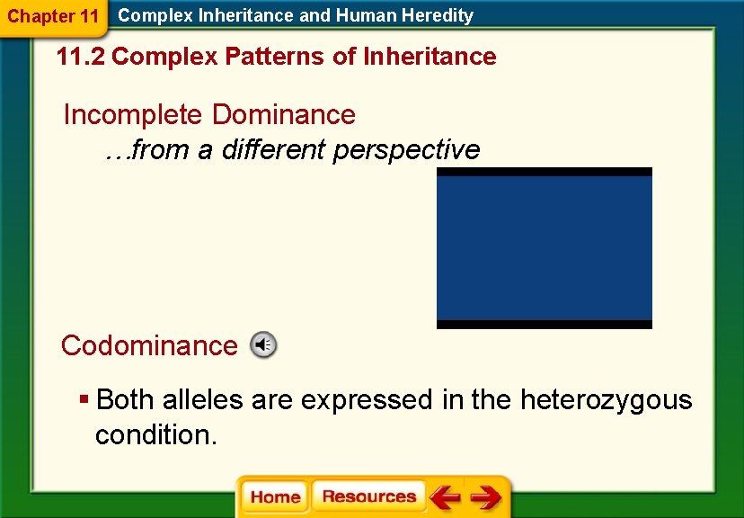 Chapter 11 Complex Inheritance and Human Heredity 11. 2 Complex Patterns of Inheritance Incomplete