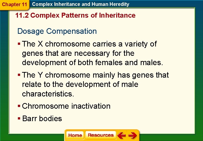 Chapter 11 Complex Inheritance and Human Heredity 11. 2 Complex Patterns of Inheritance Dosage