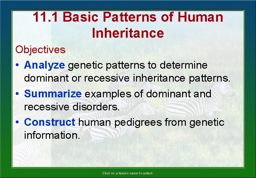 11. 1 Basic Patterns of Human Inheritance Objectives • Analyze genetic patterns to determine 11. 1 Basic Patterns of Human Inheritance Objectives • Analyze genetic patterns to determine