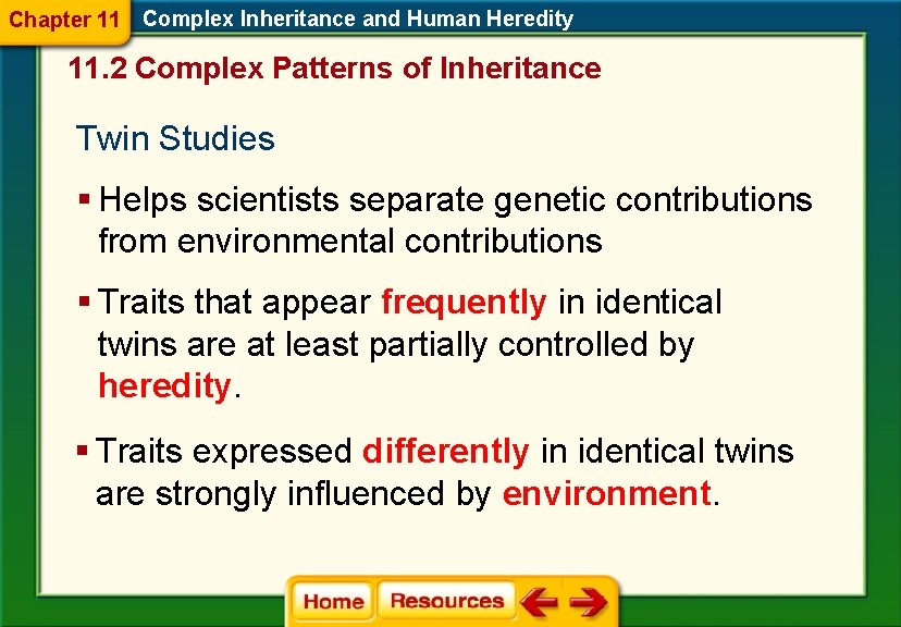 Chapter 11 Complex Inheritance and Human Heredity 11. 2 Complex Patterns of Inheritance Twin