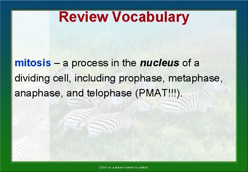 Review Vocabulary mitosis – a process in the nucleus of a dividing cell, including