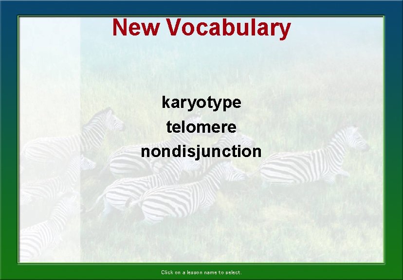 New Vocabulary karyotype telomere nondisjunction Click on a lesson name to select. 