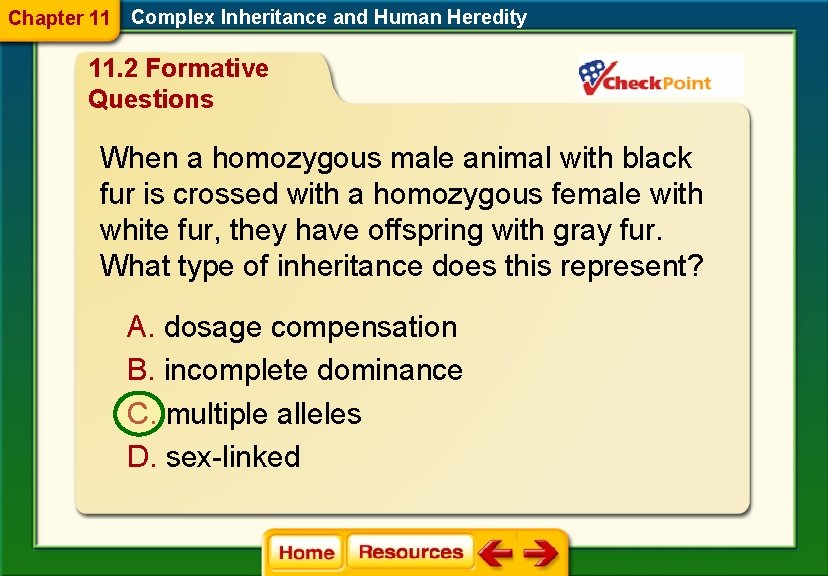 Chapter 11 Complex Inheritance and Human Heredity 11. 2 Formative Questions When a homozygous Chapter 11 Complex Inheritance and Human Heredity 11. 2 Formative Questions When a homozygous
