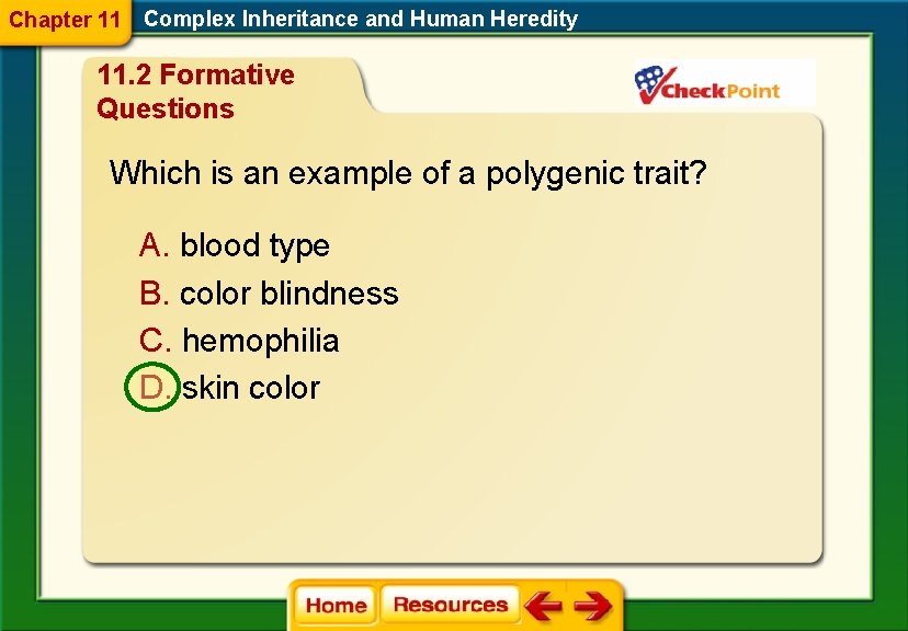 Chapter 11 Complex Inheritance and Human Heredity 11. 2 Formative Questions Which is an