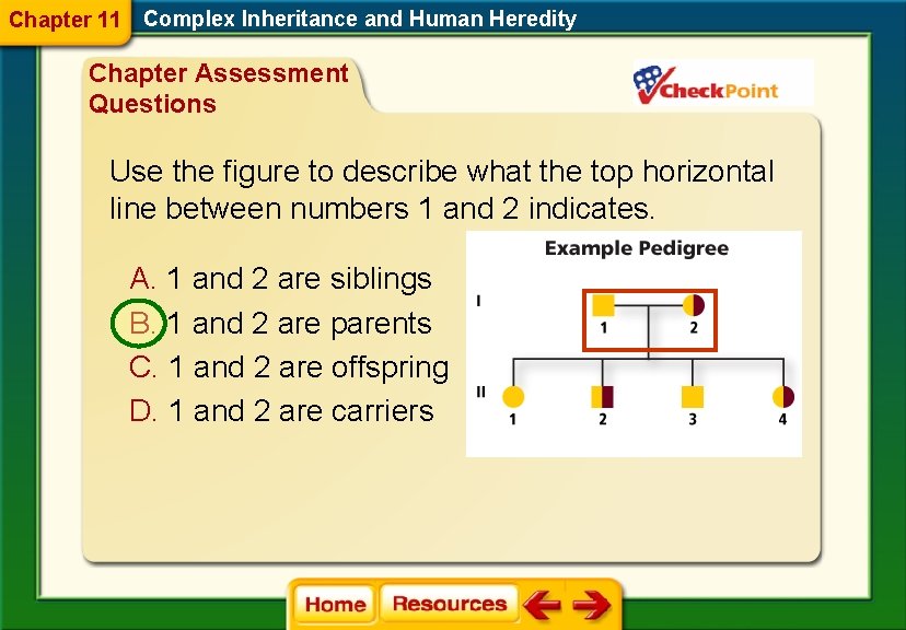 Chapter 11 Complex Inheritance and Human Heredity Chapter Assessment Questions Use the figure to