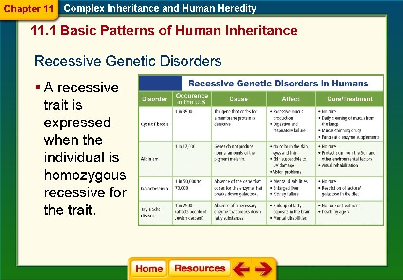 Chapter 11 Complex Inheritance and Human Heredity 11. 1 Basic Patterns of Human Inheritance