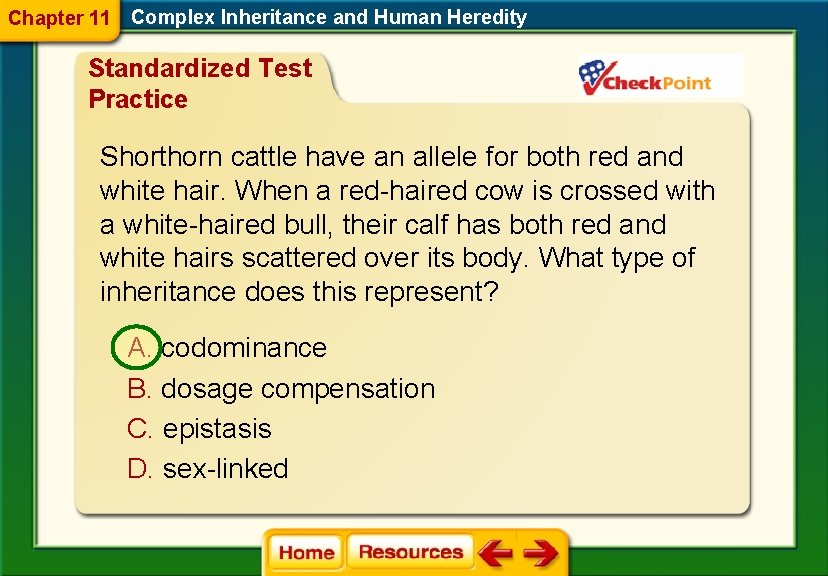 Chapter 11 Complex Inheritance and Human Heredity Standardized Test Practice Shorthorn cattle have an Chapter 11 Complex Inheritance and Human Heredity Standardized Test Practice Shorthorn cattle have an