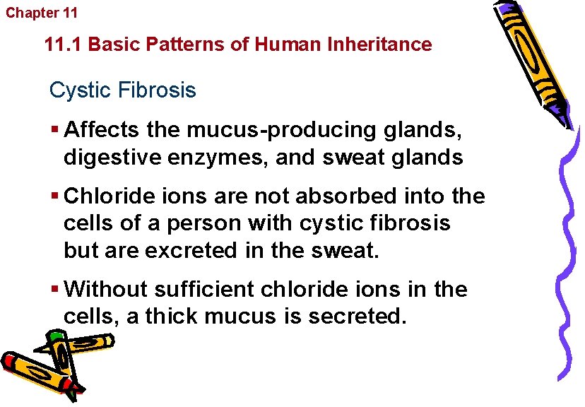 Chapter 11 Complex Inheritance and Human Heredity 11. 1 Basic Patterns of Human Inheritance