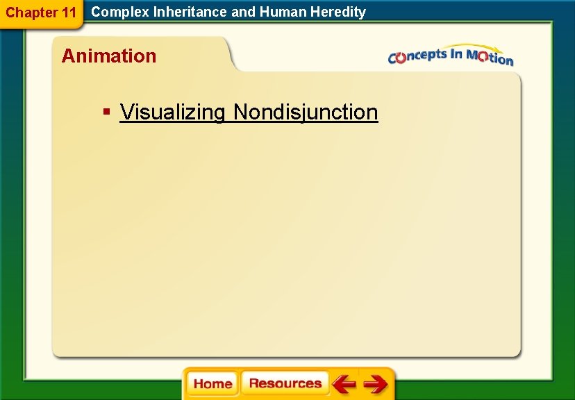Chapter 11 Complex Inheritance and Human Heredity Animation § Visualizing Nondisjunction Chapter 11 Complex Inheritance and Human Heredity Animation § Visualizing Nondisjunction