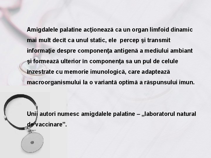 Amigdalele palatine acţionează ca un organ limfoid dinamic mai mult decît ca unul static,