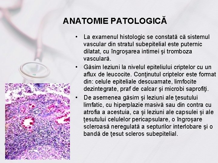 ANATOMIE PATOLOGICĂ • La examenul histologic se constată că sistemul vascular din stratul subepitelial