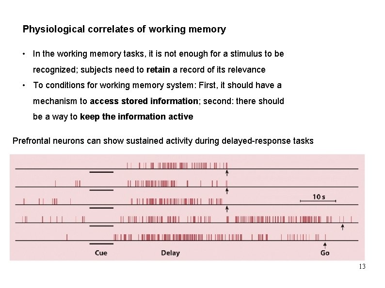 Physiological correlates of working memory • In the working memory tasks, it is not