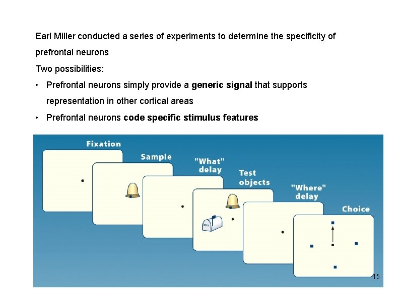 Earl Miller conducted a series of experiments to determine the specificity of prefrontal neurons