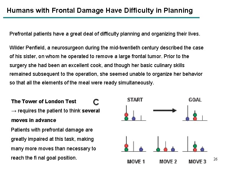 Humans with Frontal Damage Have Difﬁculty in Planning Prefrontal patients have a great deal