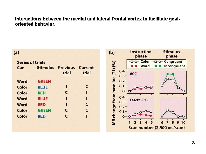 Interactions between the medial and lateral frontal cortex to facilitate goaloriented behavior. 33 