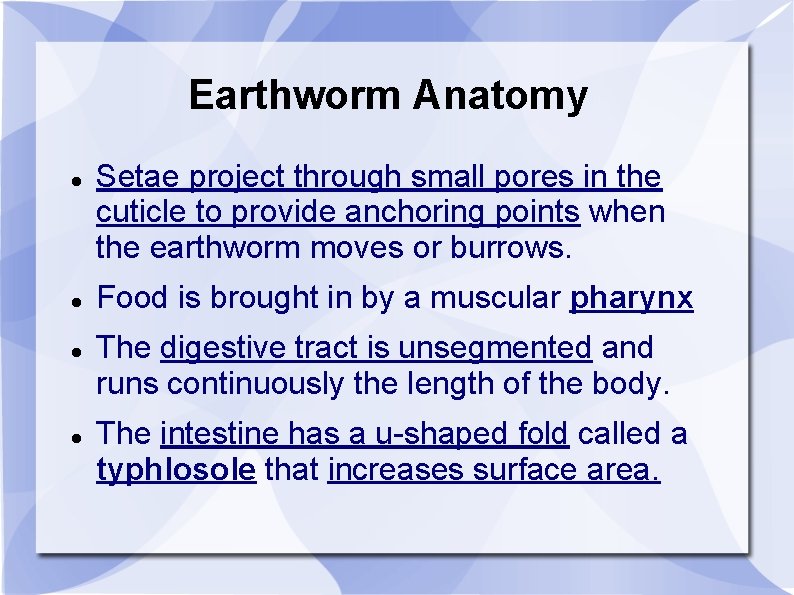 Earthworm Anatomy Setae project through small pores in the cuticle to provide anchoring points