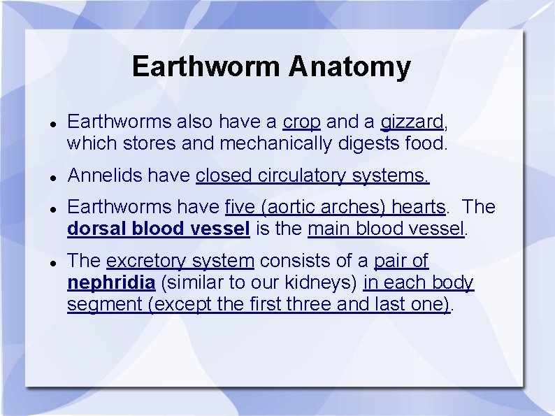 Earthworm Anatomy Earthworms also have a crop and a gizzard, which stores and mechanically