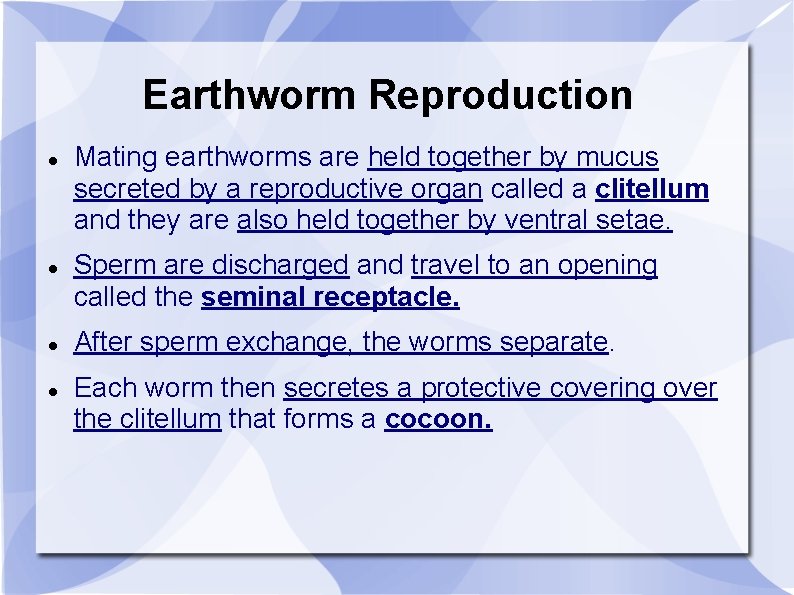 Earthworm Reproduction Mating earthworms are held together by mucus secreted by a reproductive organ