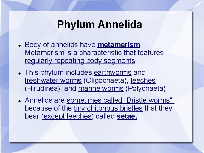 Phylum Annelida Body of annelids have metamerism. Metamerism is a characteristic that features regularly