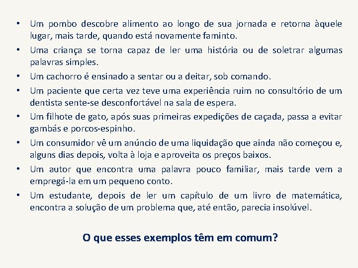  • Um pombo descobre alimento ao longo de sua jornada e retorna àquele