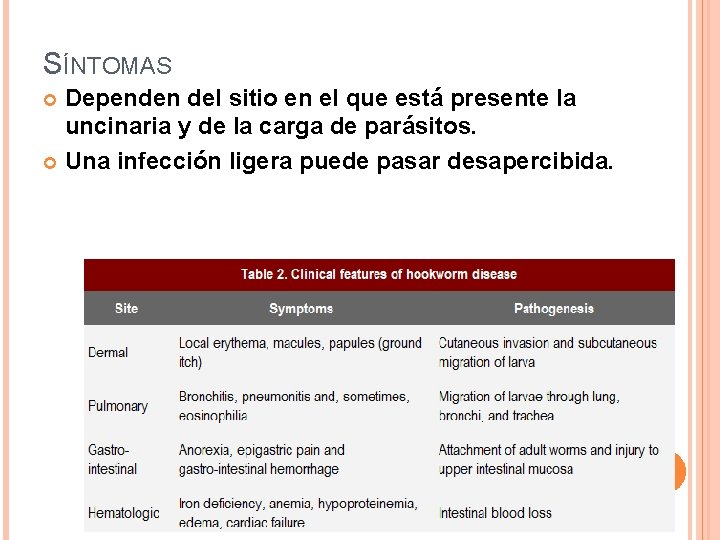 SÍNTOMAS Dependen del sitio en el que está presente la uncinaria y de la