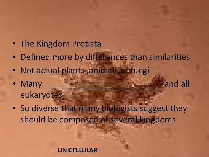 The Kingdom Protista Defined more by differences than similarities Not actual plants , animals