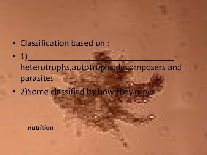  • Classification based on : • 1)________________heterotrophs, autotrophs, decomposers and parasites • 2)Some