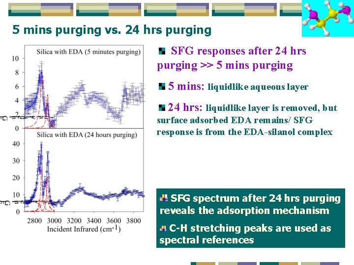 5 mins purging vs. 24 hrs purging SFG responses after 24 hrs purging >> 5 mins purging vs. 24 hrs purging SFG responses after 24 hrs purging >>