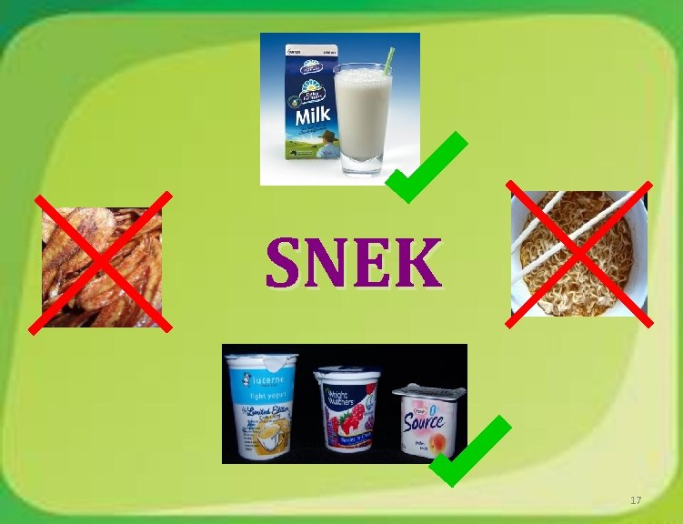 SNEK 17 