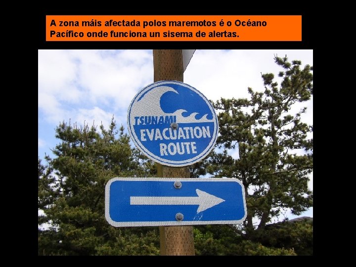 A zona máis afectada polos maremotos é o Océano Pacífico onde funciona un sisema
