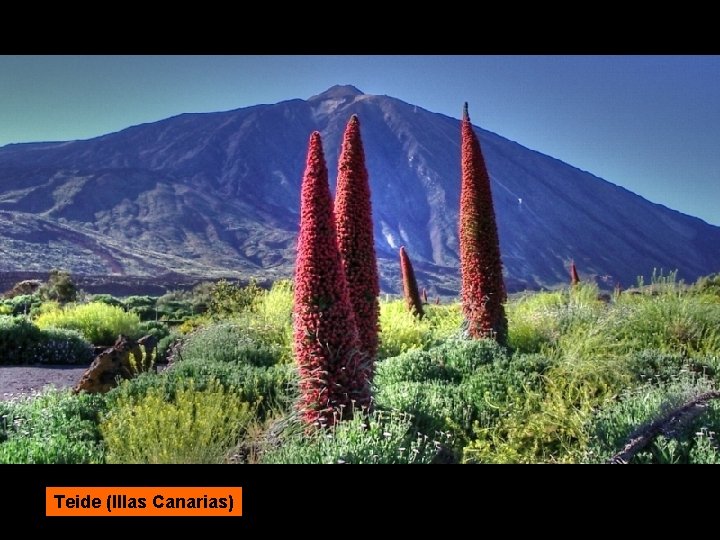Teide (Illas Canarias) 