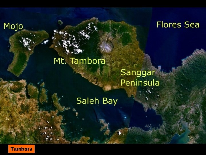 Tambora 