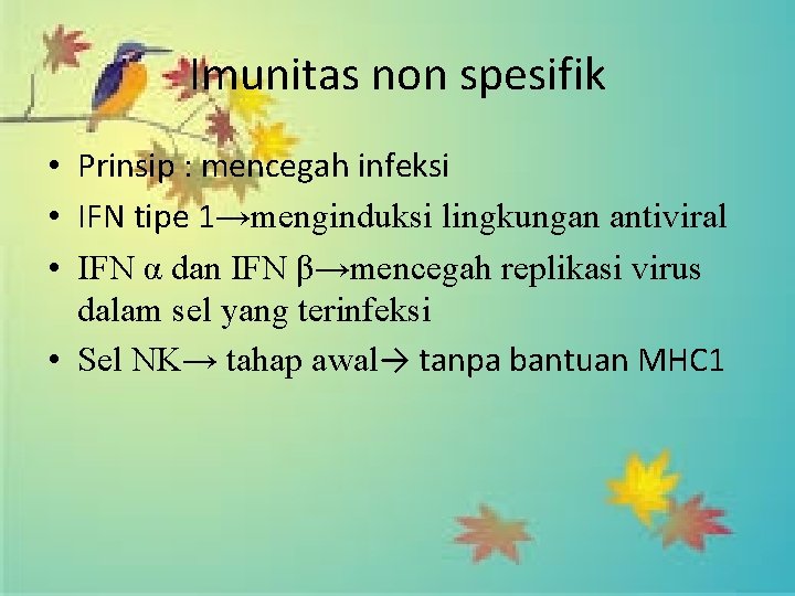 Imunitas non spesifik • Prinsip : mencegah infeksi • IFN tipe 1→menginduksi lingkungan antiviral