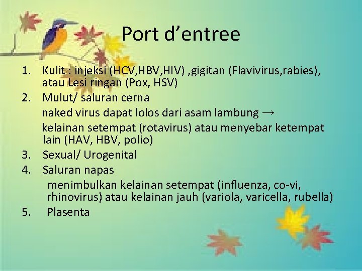 Port d’entree 1. Kulit : injeksi (HCV, HBV, HIV) , gigitan (Flavivirus, rabies), atau