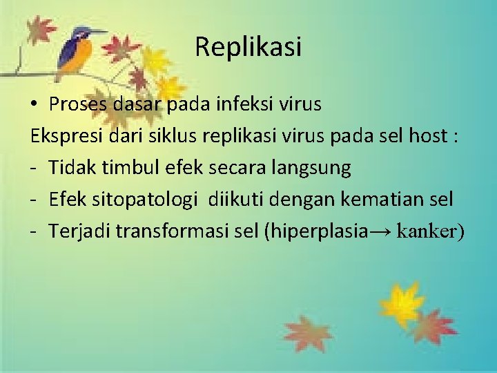 Replikasi • Proses dasar pada infeksi virus Ekspresi dari siklus replikasi virus pada sel