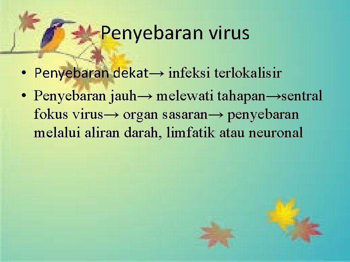Penyebaran virus • Penyebaran dekat→ infeksi terlokalisir • Penyebaran jauh→ melewati tahapan→sentral fokus virus→