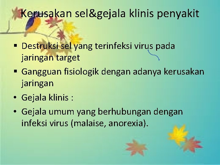 Kerusakan sel&gejala klinis penyakit § Destruksi sel yang terinfeksi virus pada jaringan target §
